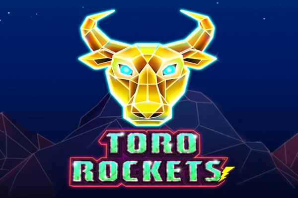 13339 toro rockets