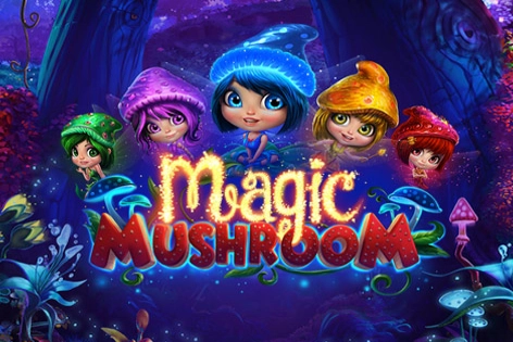 20528 magic mushroom