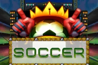 24531 soccer